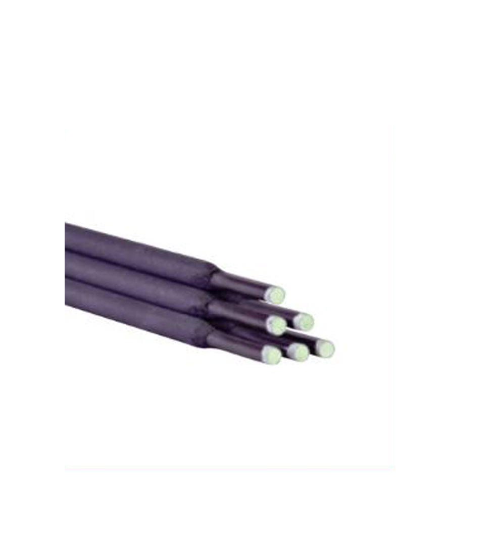 0300043.44.45.2030.elektrode.JPG