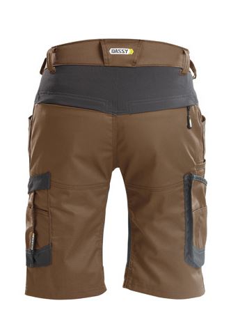 axis.brown.back.JPG